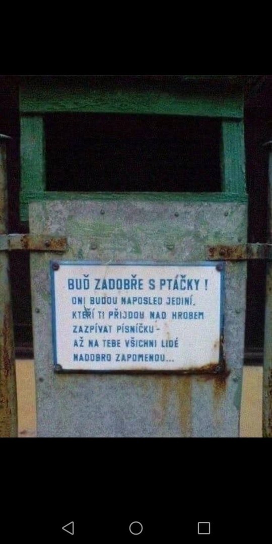 "y o  .  ,      ,     ...