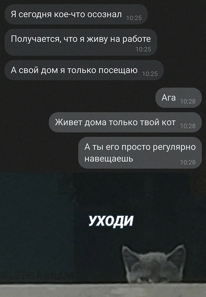 40  - 1  2022  18:34