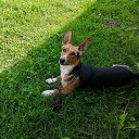 ���� ��������, �������, 63 ���� - ��������� 27 ������ 2022 � ������ ���� ����������