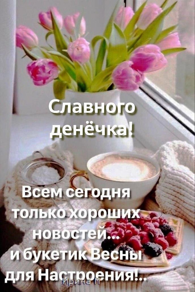   - 19  2022  09:04