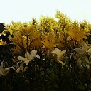 ���� ����, �����, 70 ��� - ��������� 20 ������� 2023