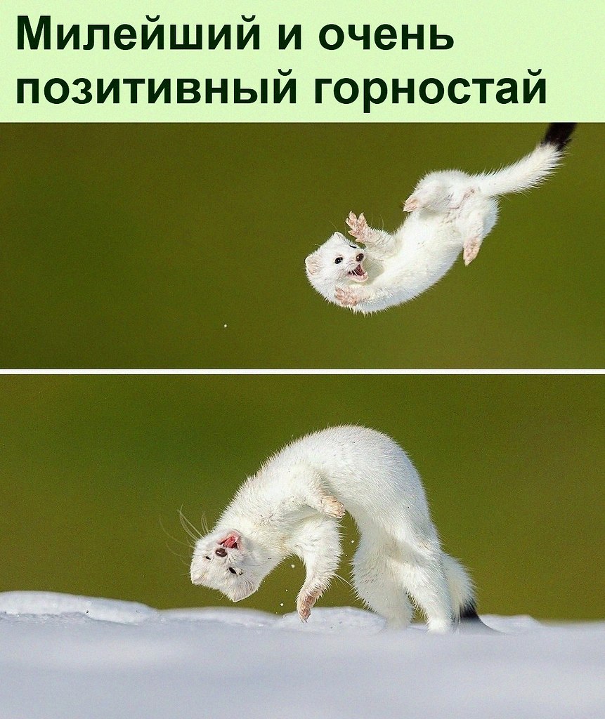   :D - 6  2022  06:40