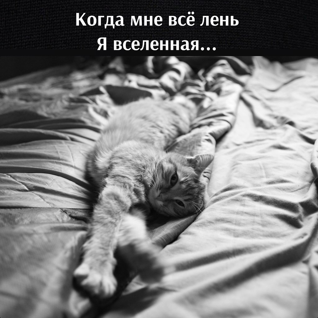   - 17  2023  14:42