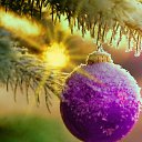 ���� �����, ����, 40 ��� - ��������� 1 ������� 2022 � ������ ����� 2022 (17:12 1/12/2022)�