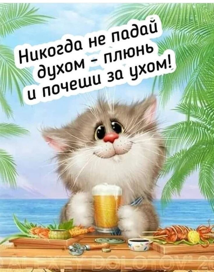   - 16  2022  18:13