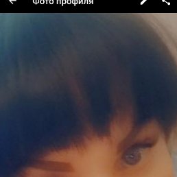 �����. Ty, �������������, 41 ���