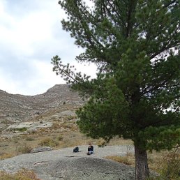 �������, �������, 40 ���