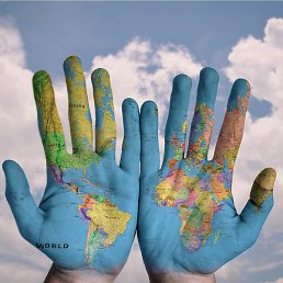 �������, ������, 49 ���