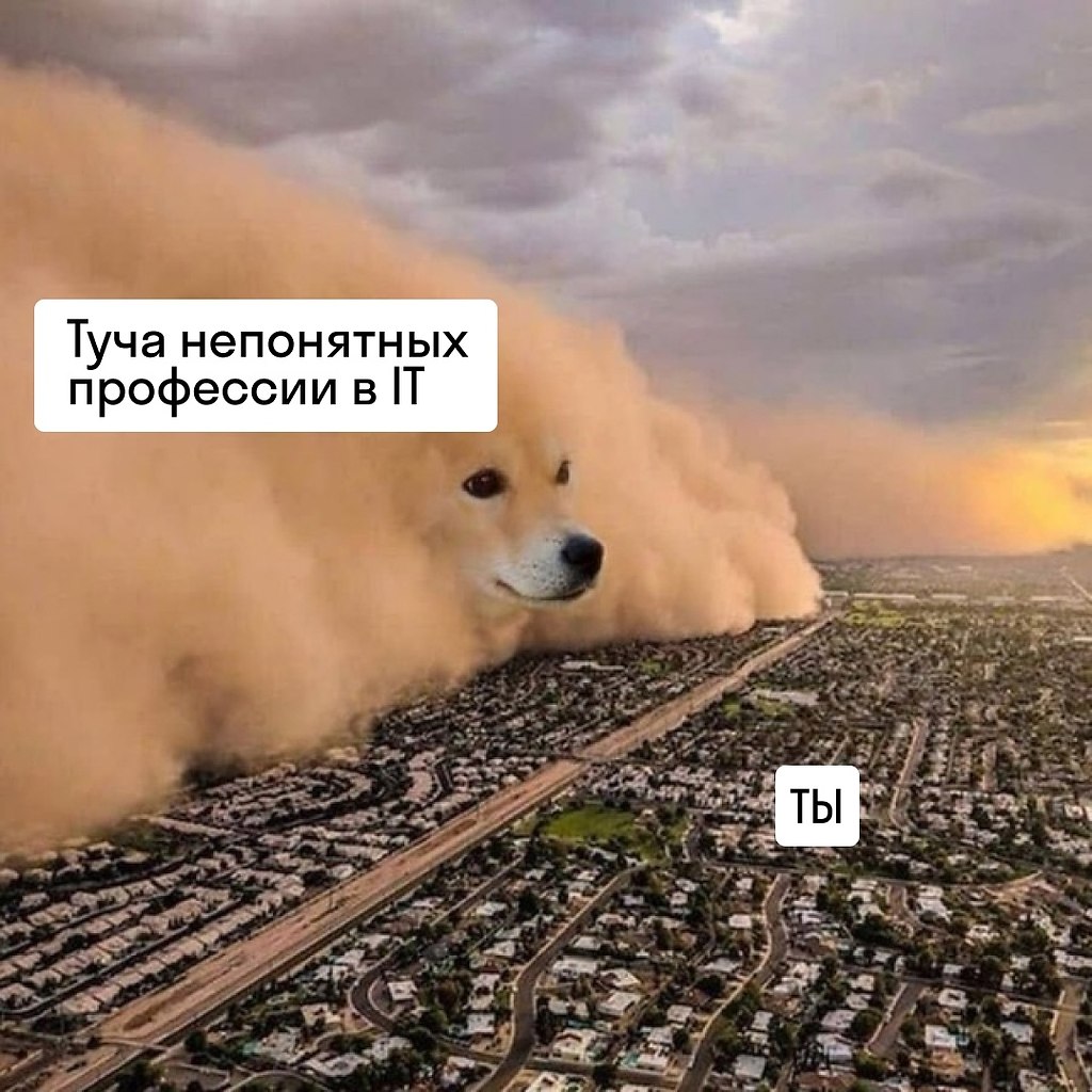   IT-!   .      . ...