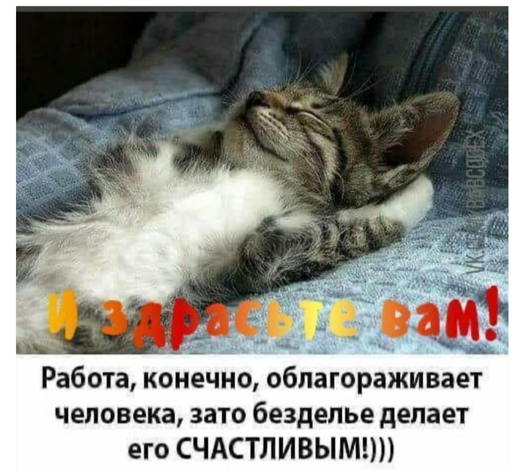 Julia - 16 ноября 2022 в 15:45