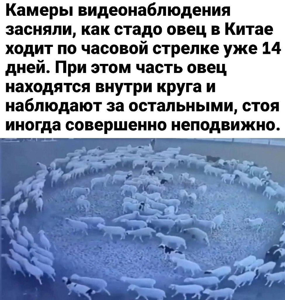   ? - 2