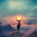 ���� ����, ���������, 32 ���� - ��������� 10 ������ 2023