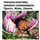 ���� ����, �������, 55 ��� - ��������� 15 ��� 2022 � ������ ���� ����������