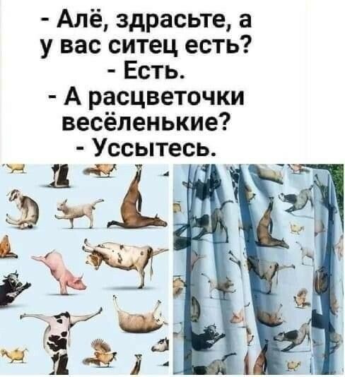 ***Victoria Viktorovna*** - 5  2022  12:07