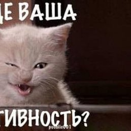 , , 54 