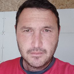 , , 44 