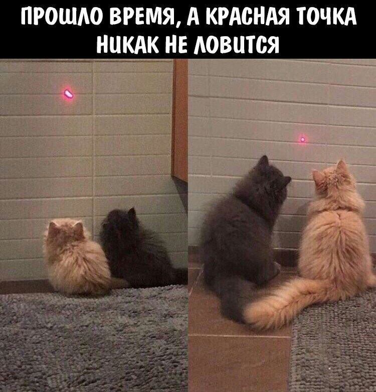    - 9  2023  01:12