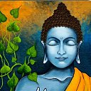 ���� �������, �������, 33 ���� - ��������� 20 ������ 2023 � ������ ���� ����������