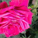 ���� Nadin, �������, 61 ��� - ��������� 1 ���� 2022 � ������ ������ ��������