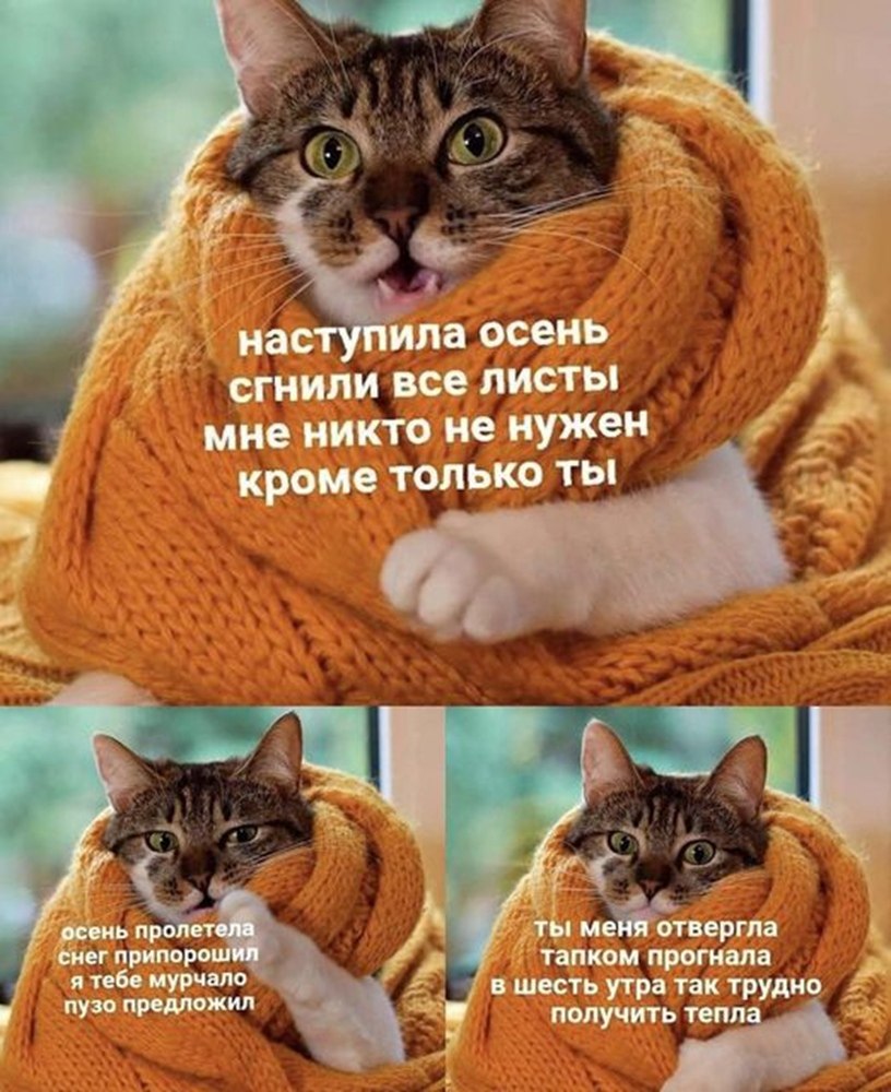   - 27  2022  13:30