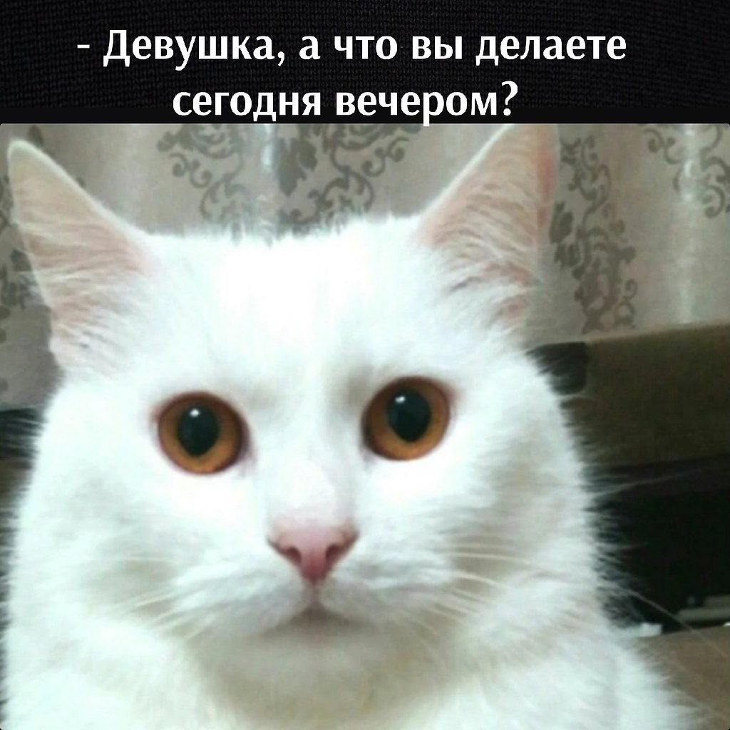       - 11  2022  20:09