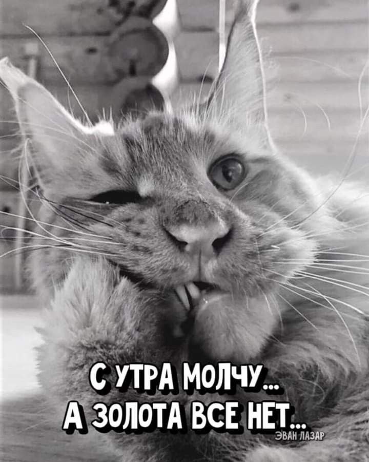   - 6  2022  08:09