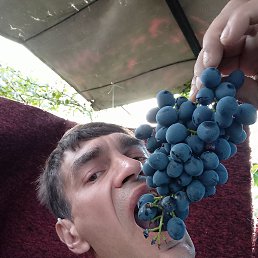 ���� ������, �������, 47 ��� - ��������� 10 ������� 2022