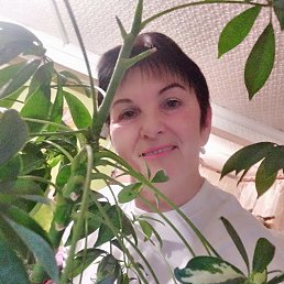 Светлана, 59, Бологое