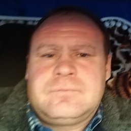 ������, ������, 44 ����