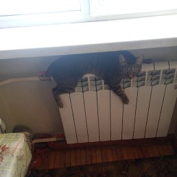 ���� ������, ������, 49 ��� - ��������� 10 ������� 2023