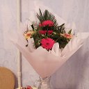  Shirin, , 31  -  17  2022