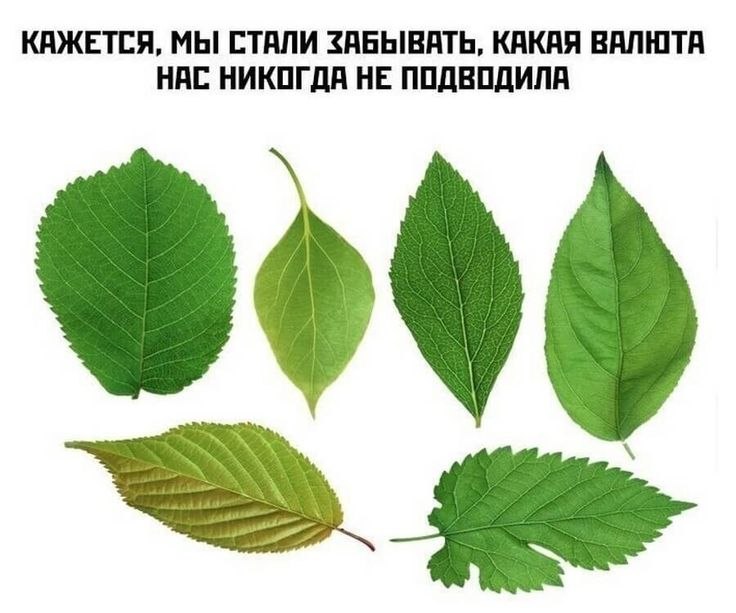 ������������� ���� - 7 ����� 2022 � 09:37