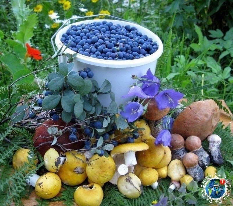 oaca a eco. pacoa-o aa.   