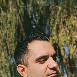 , 40, 