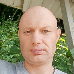 , , 46 