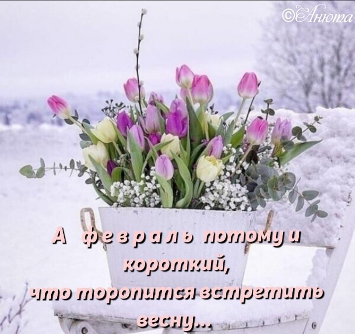   ,    . - 7  2022  15:44