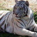 ���� Oleg, ������, 47 ��� - ��������� 19 ������ 2023 � ������ ���� ����������
