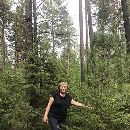 ���� ��������, �����������, 64 ���� - ��������� 1 ������� 2022