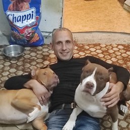 , 41, 