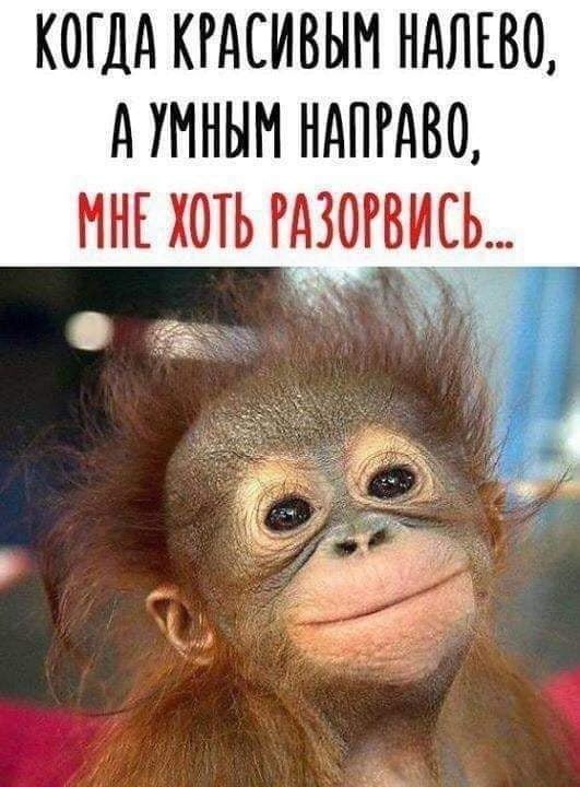   - 23  2022  17:03
