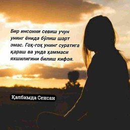 Temur, �����, 29 ���