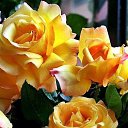 ���� Egor, ��������, 55 ��� - ��������� 19 ������� 2022 � ������ ������ ��������
