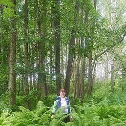 �������, ������ ��������, 56 ���