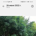 ���� ������, ������, 55 ��� - ��������� 26 ���� 2022