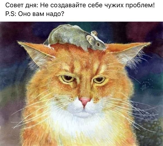   - 14  2022  08:51