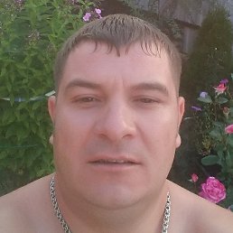 ����, ������, 39 ���