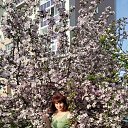 ���� �����, �������� - ��������� 6 ���� 2022 � ������ ���� ����������