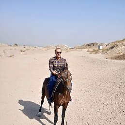 �����, ������, 40 ���