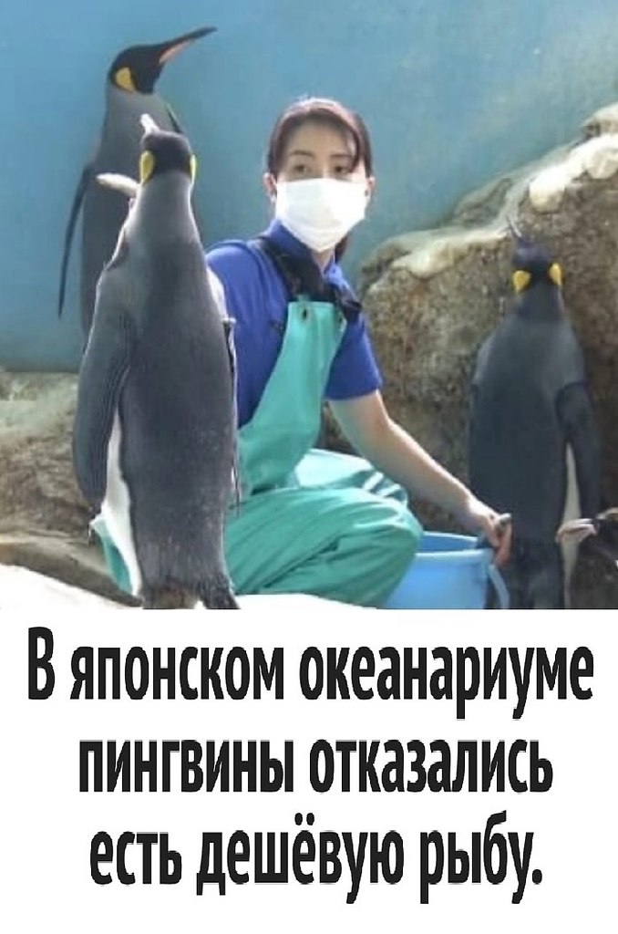    ..    ,    .