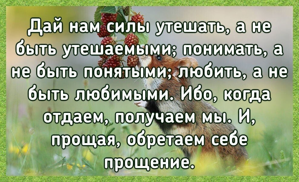 ☆ ☆ - 19  2022  08:43